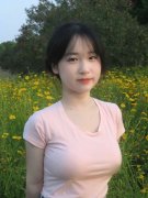 系十七届、十